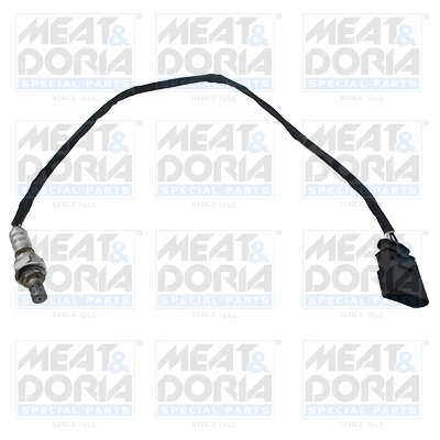 Oxygen Sensor